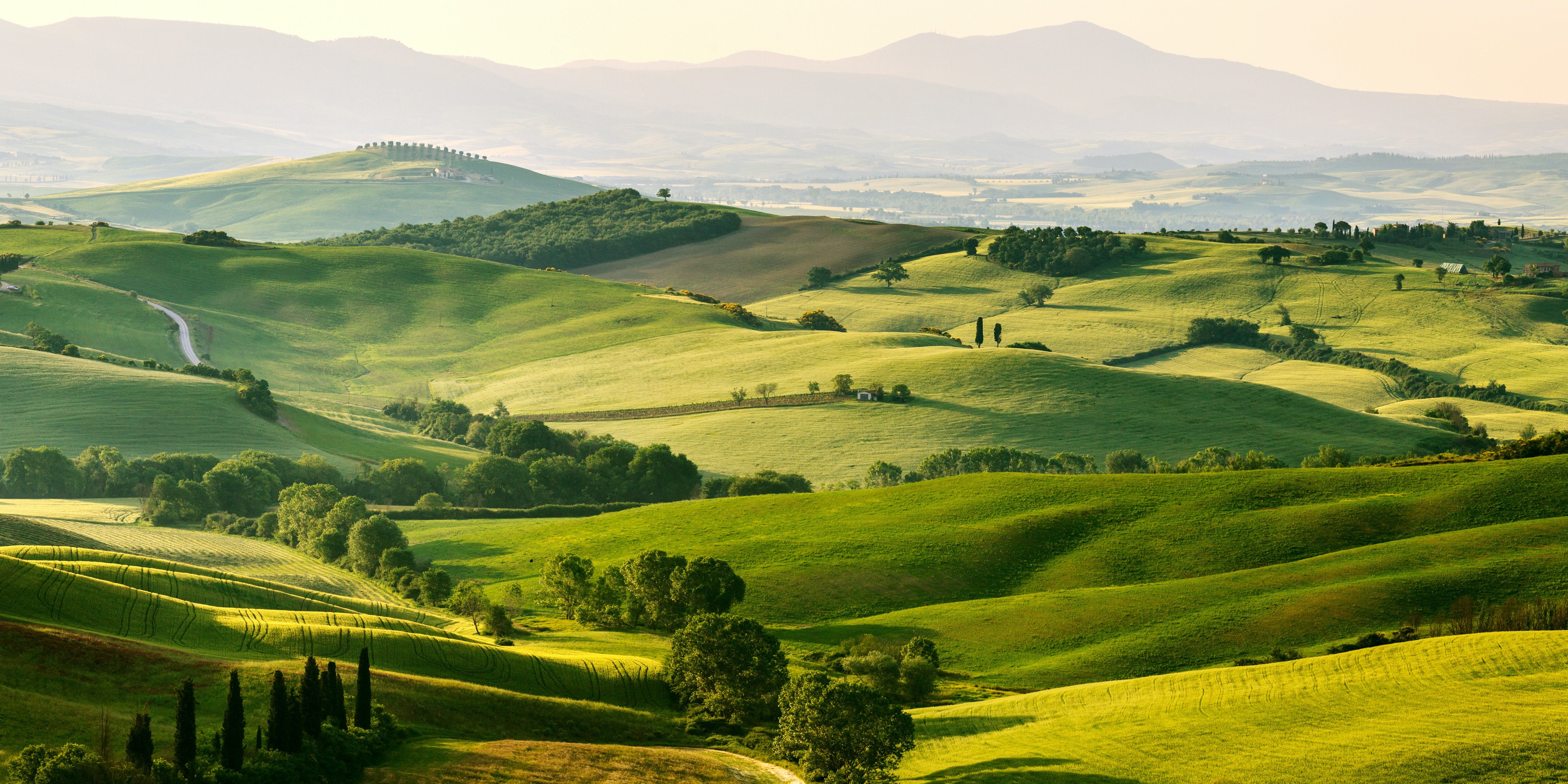 Italian Shoemaking family on a beautiful green landscape